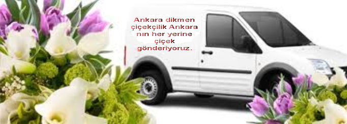 Ankara Dikmen Aþaðý dikmen çiçekçi dikmen