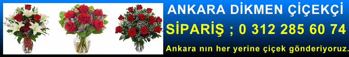 Ankara dikmen çiçekçileri satış sitesi