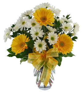 beyaz ve sarý kýr çiçeklerinden çiçek vazo tanzimi