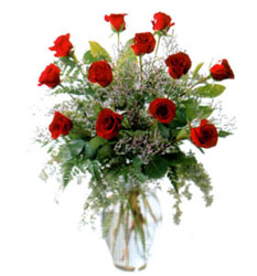 Ankara Dikmen çiçek gönderme firmamýzdan size özel camda güller 11 adet Ankara çiçek gönder firmasý þahane ürünümüz 