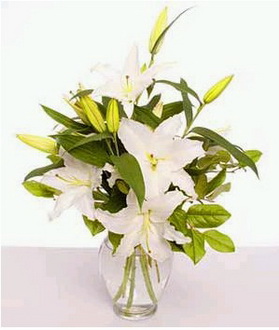 Ankara Dikmen çiçek gönderme 4 dal cazablanca vazo çiçeği 